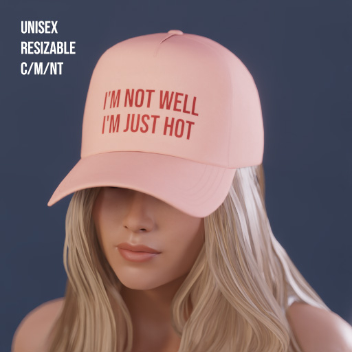 $NT MSLGA Hat JUST HOT
