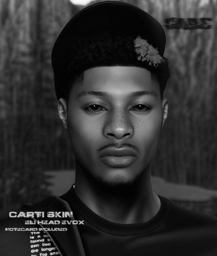 [SABE - Carti Demo]