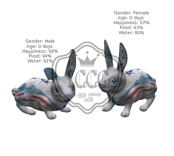 DFS FSB#15 Rabbit Pair