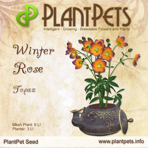 PlantPet Seed [Winter Rose *Topaz*] Rare