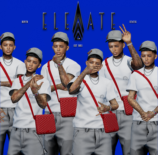 ELEVATE - STANDING POSE PACK V2 