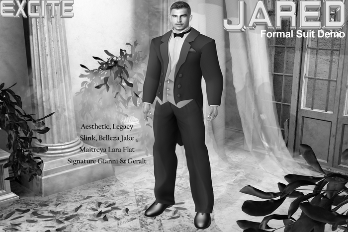 Excite Jared Formal Suit Demo