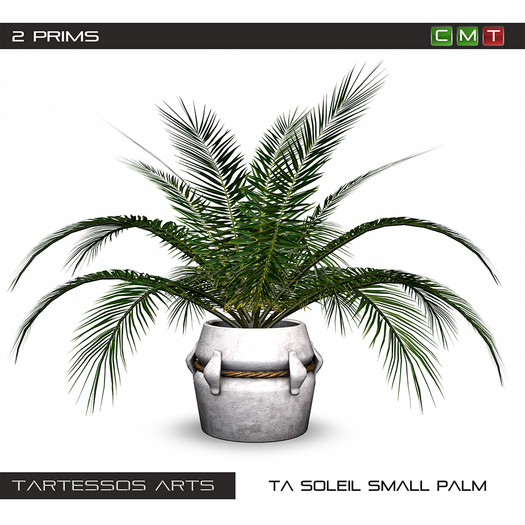 ::TA Soleil Small Palm