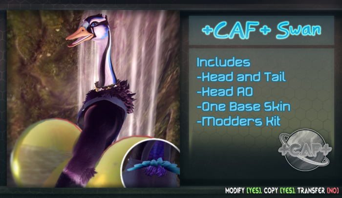 +CAF+ Swan