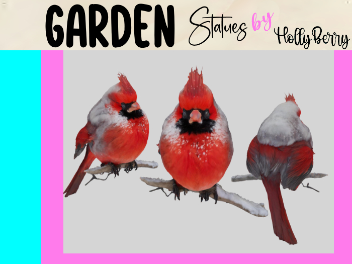 HB: Winter Plump Cardinal FuLL PERM