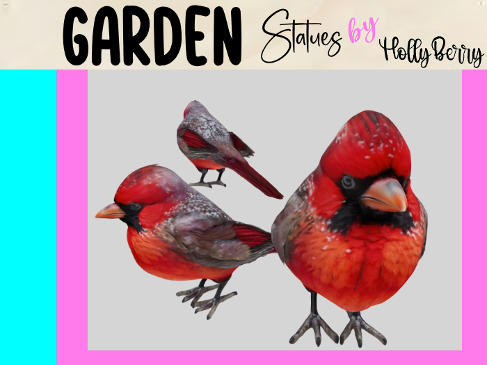 HB: Winter Cardinal B FuLL PERM