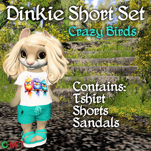 Dinkie Short Set Crazy Birds