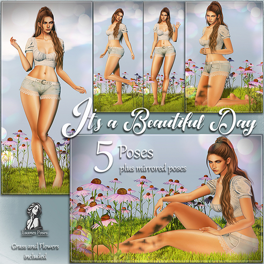 Luanes Poses - It's a Beautiful Day