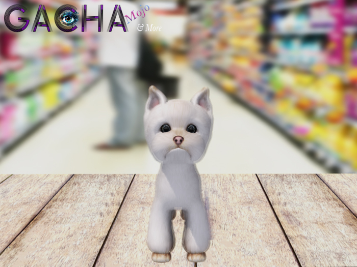 SEmotion Libellune Baby Yorkie Companion RARE 01