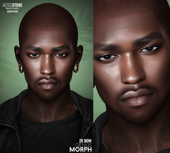 [ALTICE] GENUS MORPH SKIN  - ARVIN (2K BOM)