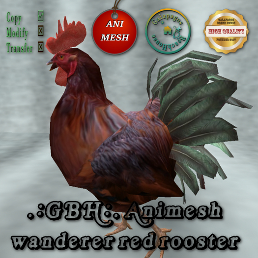 .:GBH:. Animesh Wanderer Red Rooster