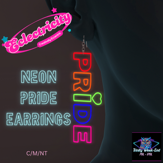 Neon Pride Earrings - Add