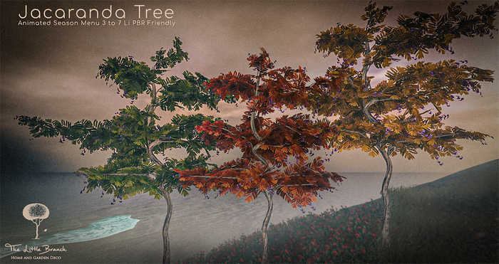 LB Jacaranda Tree Animated 4 Seasons Mesh