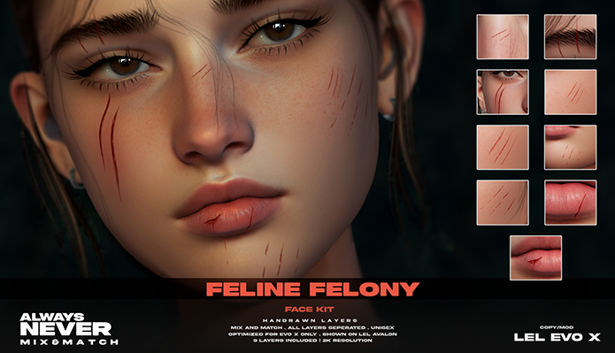 Always Never. Feline Felony