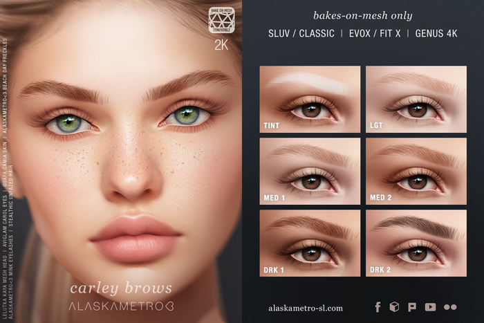 "Carley" eyebrows | EvoX BOM | Bakes-on-Mesh/Classic | Genus 4K BOM