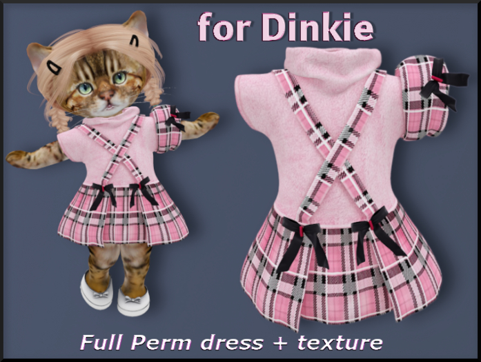 Dress-Dusya-Dinkie Demo