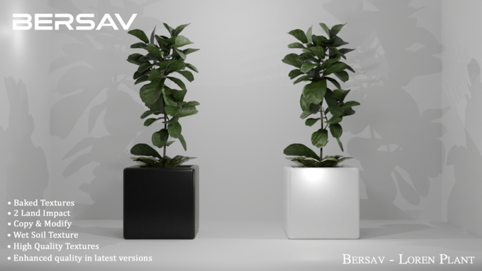 Bersav - Loren Plant FATPACK (Add)