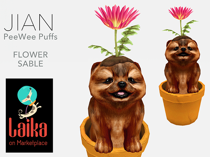 JIAN PeeWee Puffs :: Flower Sable