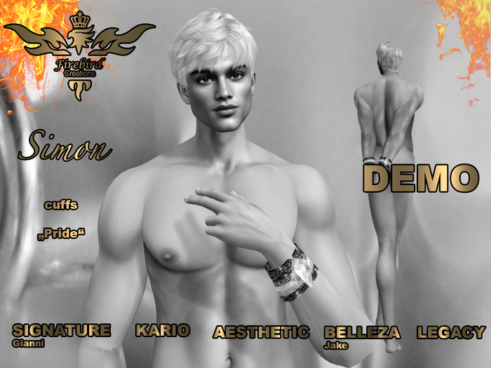 Firebird Simon cuffs pride DEMO