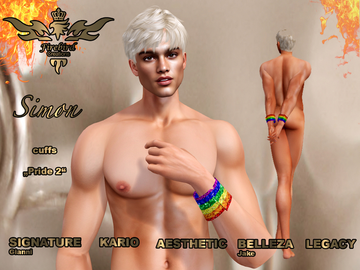 Firebird Simon cuffs pride 2