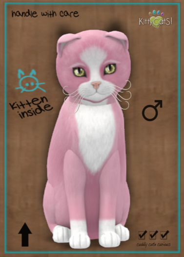 KittyCatS Box -  Chateau Cat - Pink & White No. 1 9T (female)