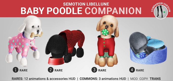 4. SEmotion Libellune Poodle Puppy Companion RARE