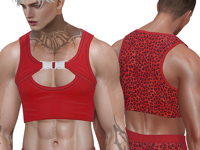 TwoSided Lovely Top