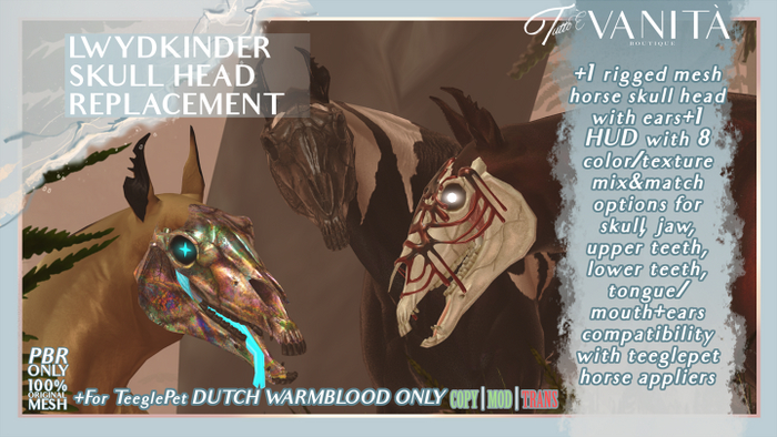 Lwydkinder Skull [DUTCH]