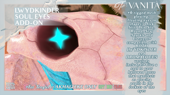 Lwydkinder Soul (Eyes) [AKHAL-TEKE]
