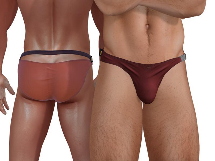 TwoSided Swim briefs RO