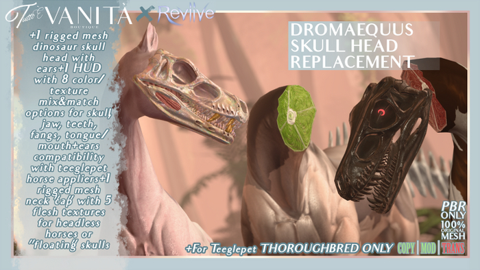 Dromaequus Skull [THOROUGHBRED]