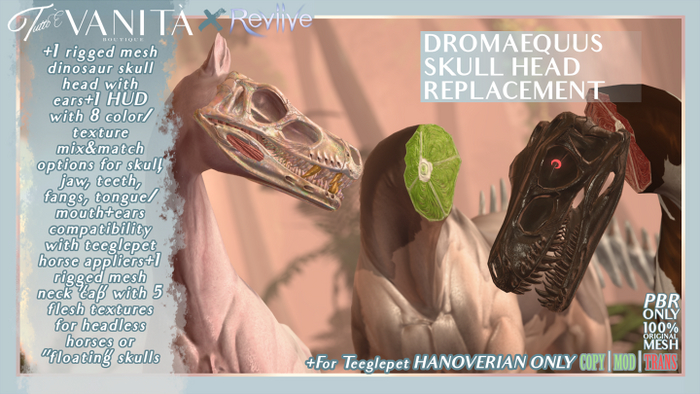 Dromaequus Skull [HANOVERIAN]