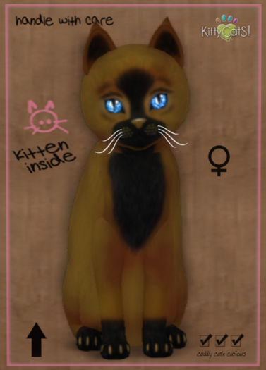 KittyCatS Box - Faux Puff - Chai Latte 9T (female)