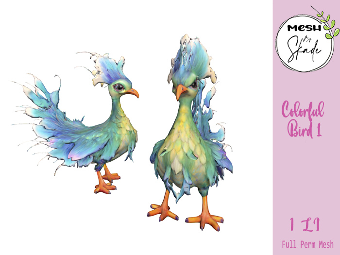 MBS - Colorful Bird 1