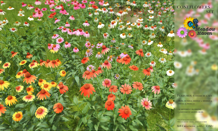 8f8 - Meadow Haven - Coneflowers Set 