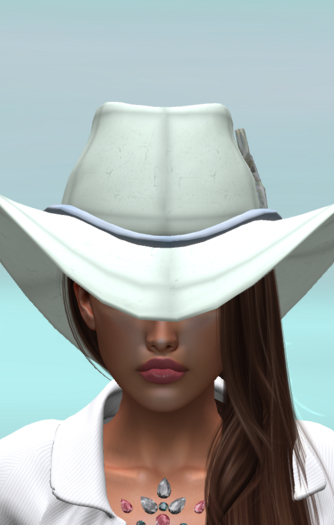 Distressed Lime Decay Cowboy Hat