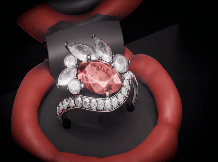 NR Engagement Ring Unpacker