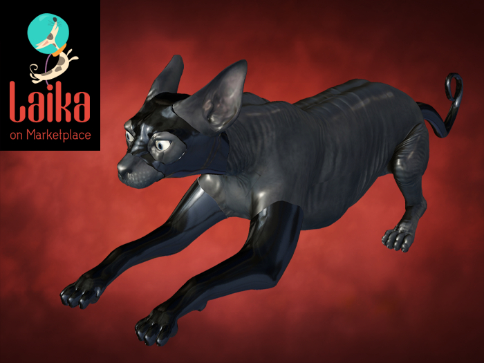 CODEX_THE KINKY CATS n.10 Black