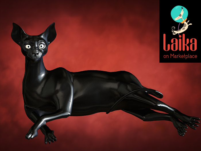 CODEX_THE KINKY CATS n.12 Black