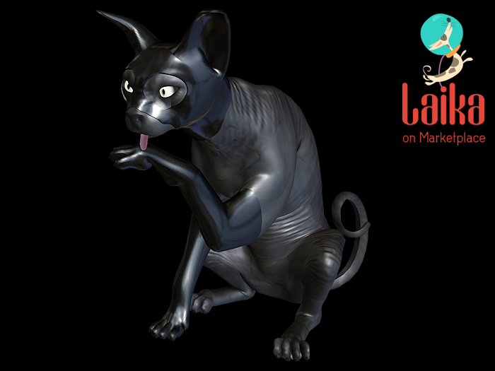 08 CODEX_THE KINKY CATS Black