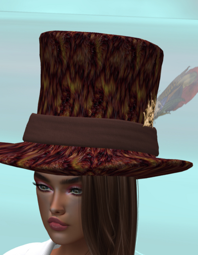 Beaver Fur Top Hat