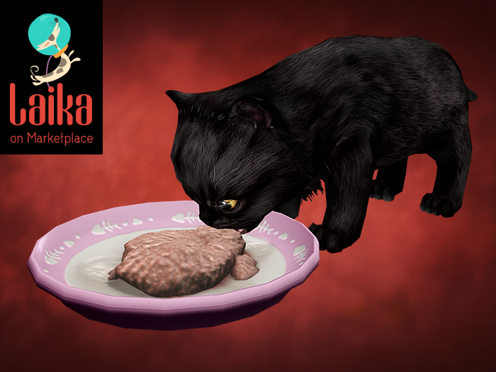 JIAN Pudgy Persians 17. Black Grubbin Kitten