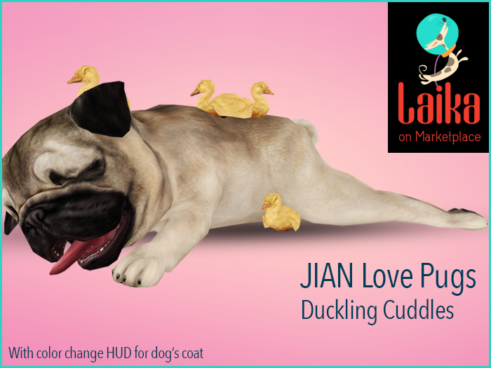 JIAN Love Pugs 6. Duckling Cuddles