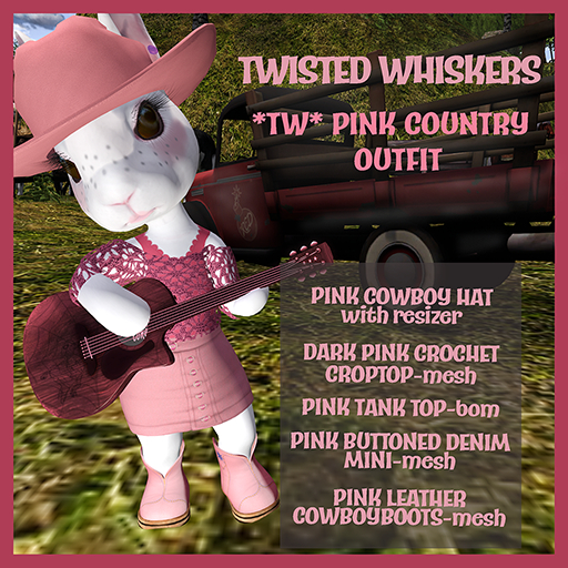 *TW* PINK COUNTRY OUTFIT