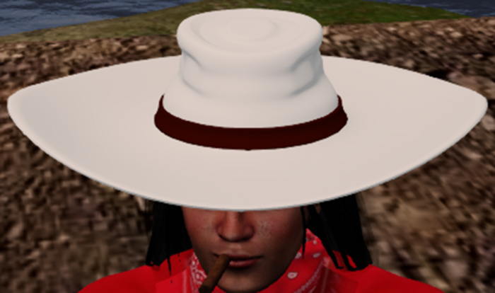 white cowboy hat