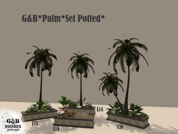 G&B*Palm Set* Potted*Fatpack*