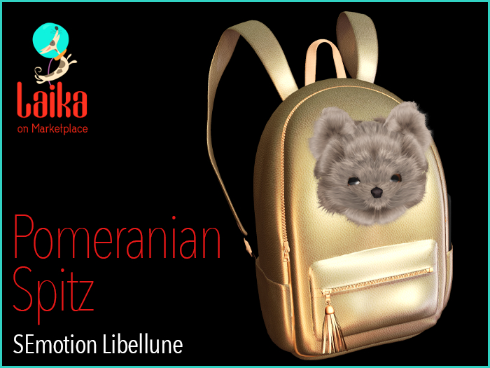SEmotion Libellune Pomeranian Spitz Animesh COMMON 10