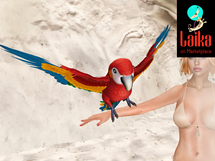 SEmotion Libellune Macaw Parrot Animesh ULTRARARE 03