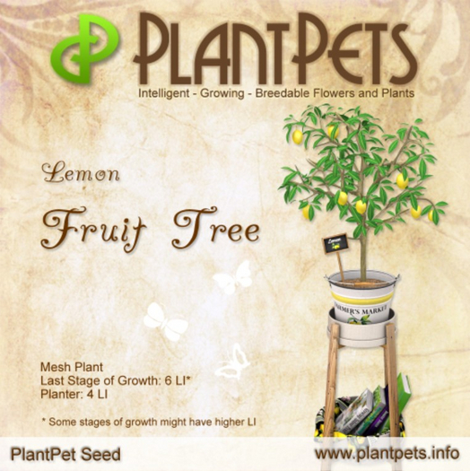 PlantPet Seed [Fruit Tree *Lemon*]
