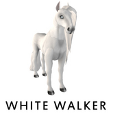 Male, White Walker, Fire Element, Unicorn Royalty